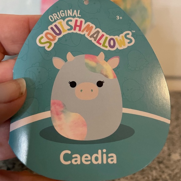 NWT 8” Caedia Squishmallow - Picture 3 of 4